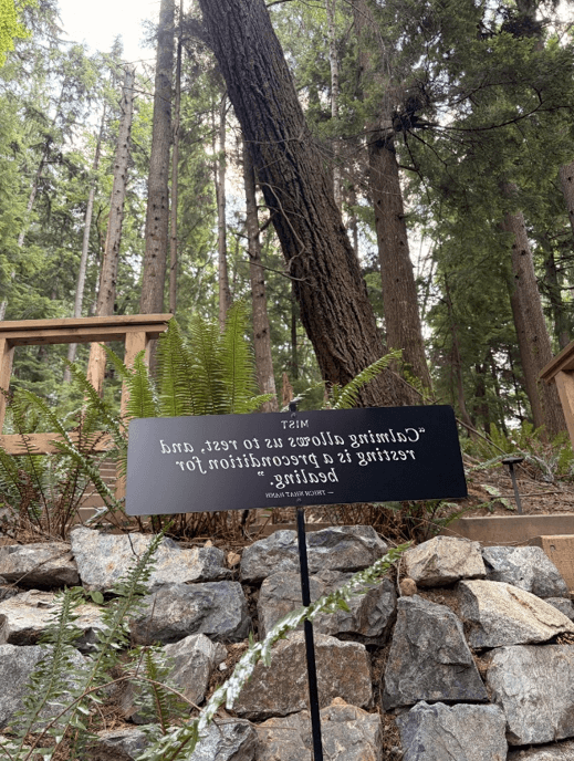image of a trailhead sign in the woods