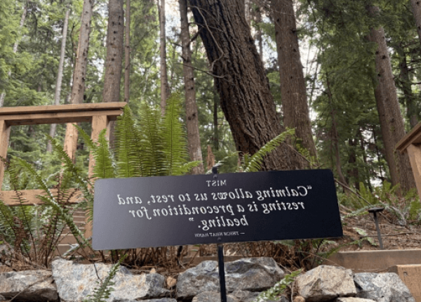 image of a trailhead sign in the woods