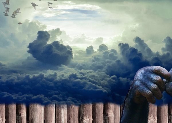 ape-1052567_1920-e1529342768330